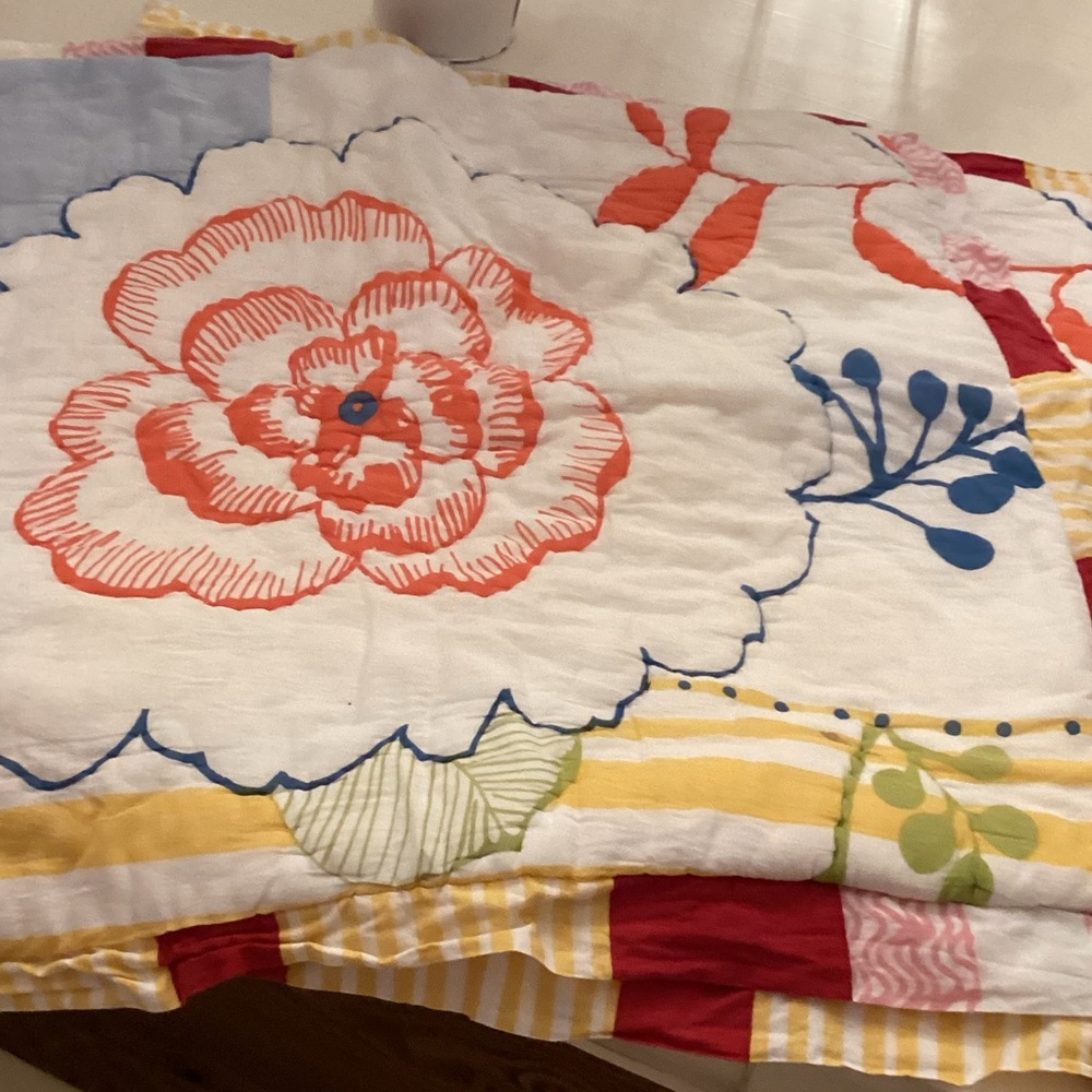 Set of two Anthropologie Euro Pillow Shams